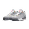  Air Jordans  3 Retro  ' Cool Grey '  2021CT8532-012