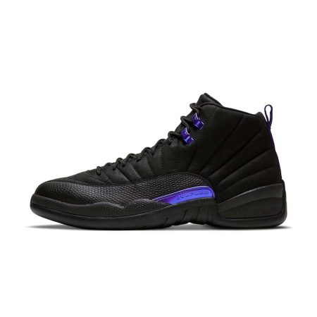  Air Jordans  12  ' Dark Concord ' CT8013-005